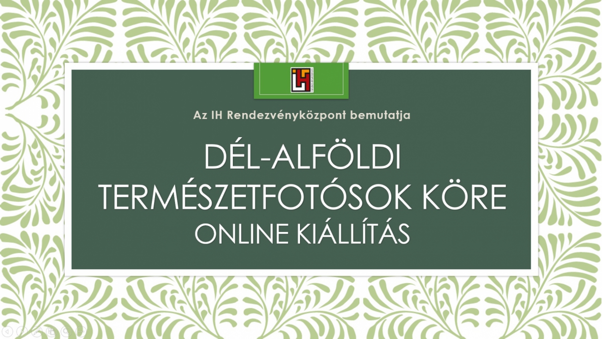 Dél-Alföldi Természetfotósok Köre - ONLINE kiállítás