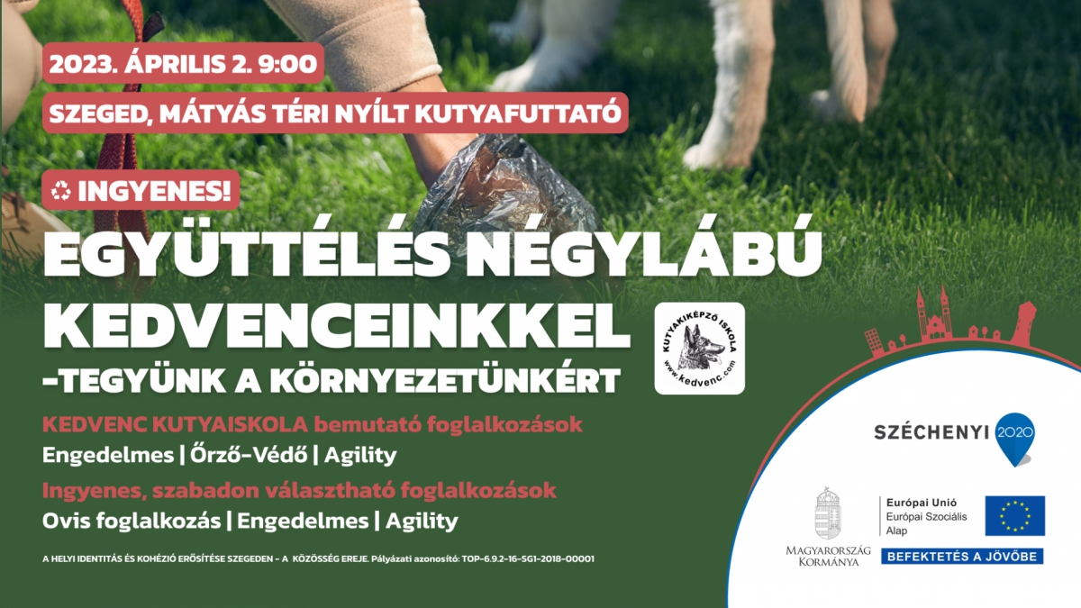 Együttélés nyégylábú kedvenceinkkel - tegyünk a környezetünkért