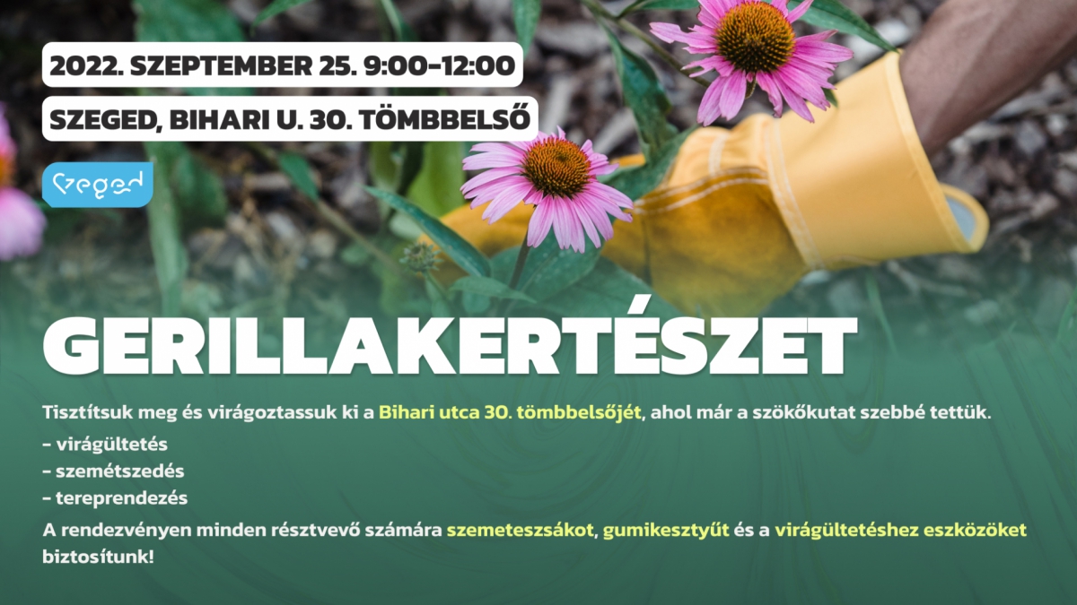 Gerilla kertészet Felsővároson