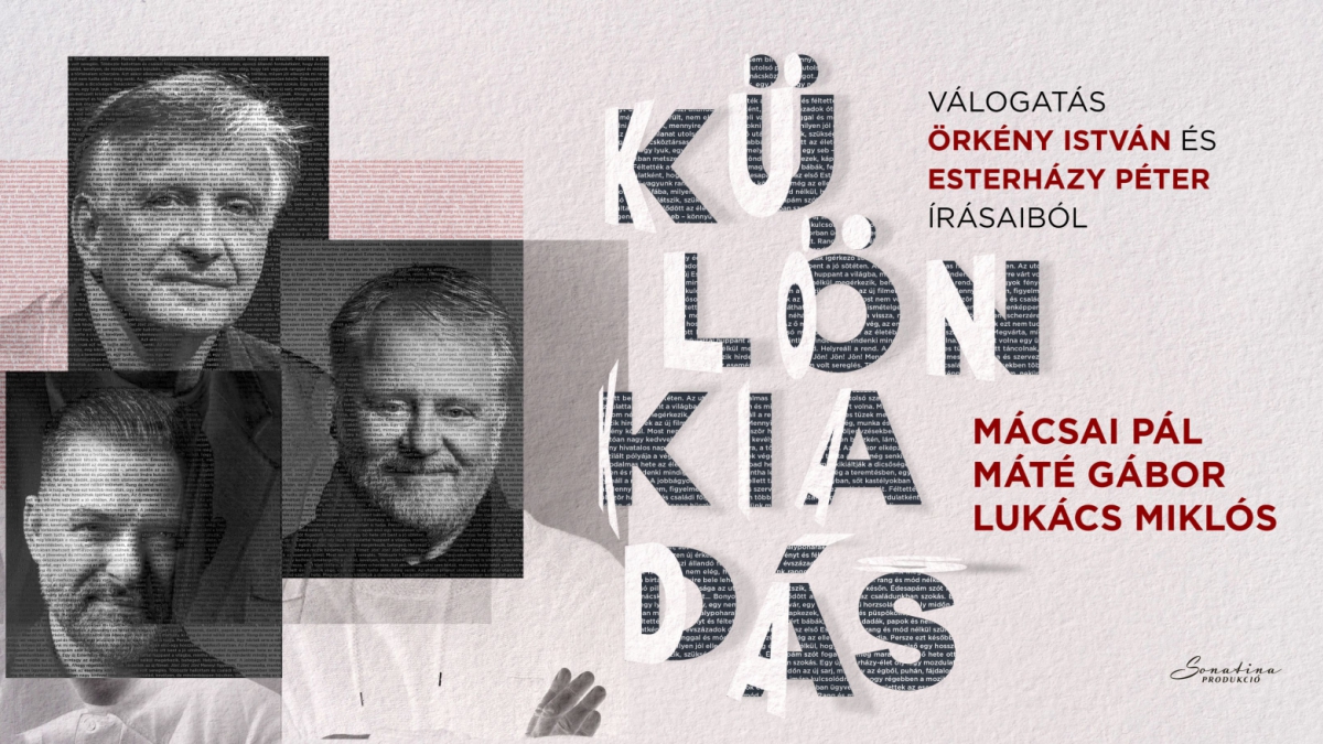 TELTHÁZ! Muzsikáló Udvar 2024. - Különkiadás