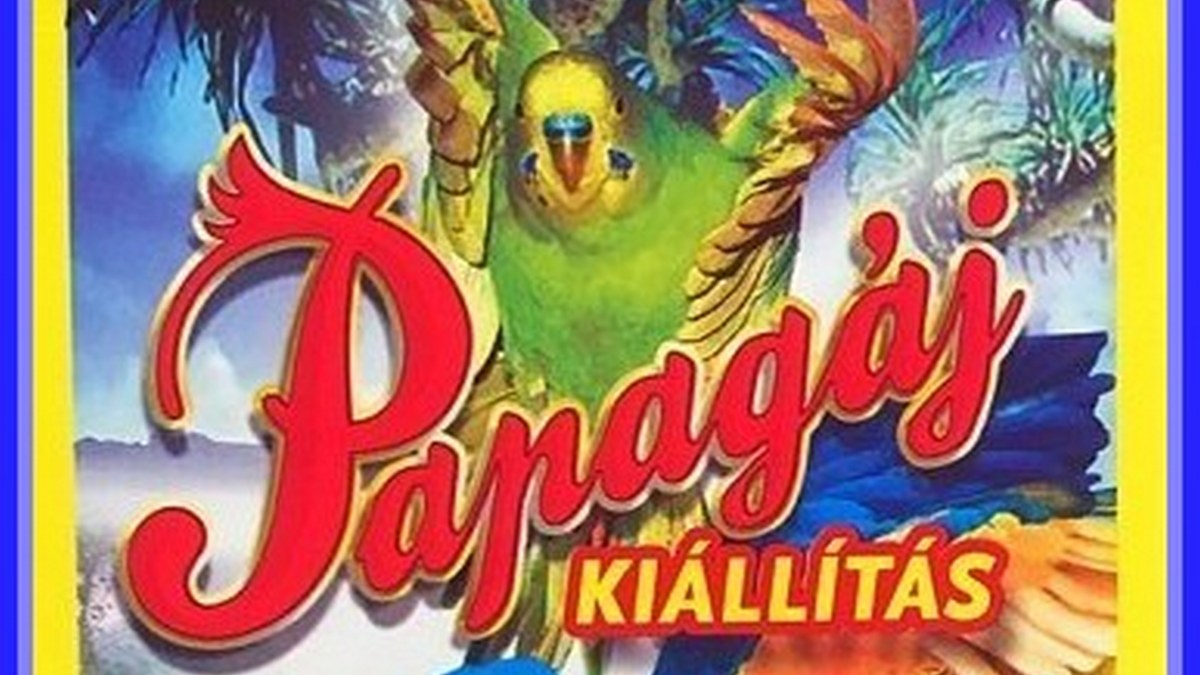 Papagáj kiállítás