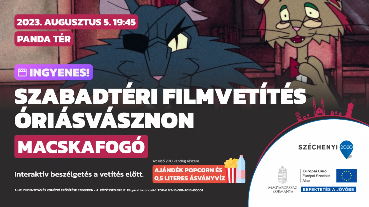 Szabadtéri filmvetítés óriásvásznon - Macskafogó I.