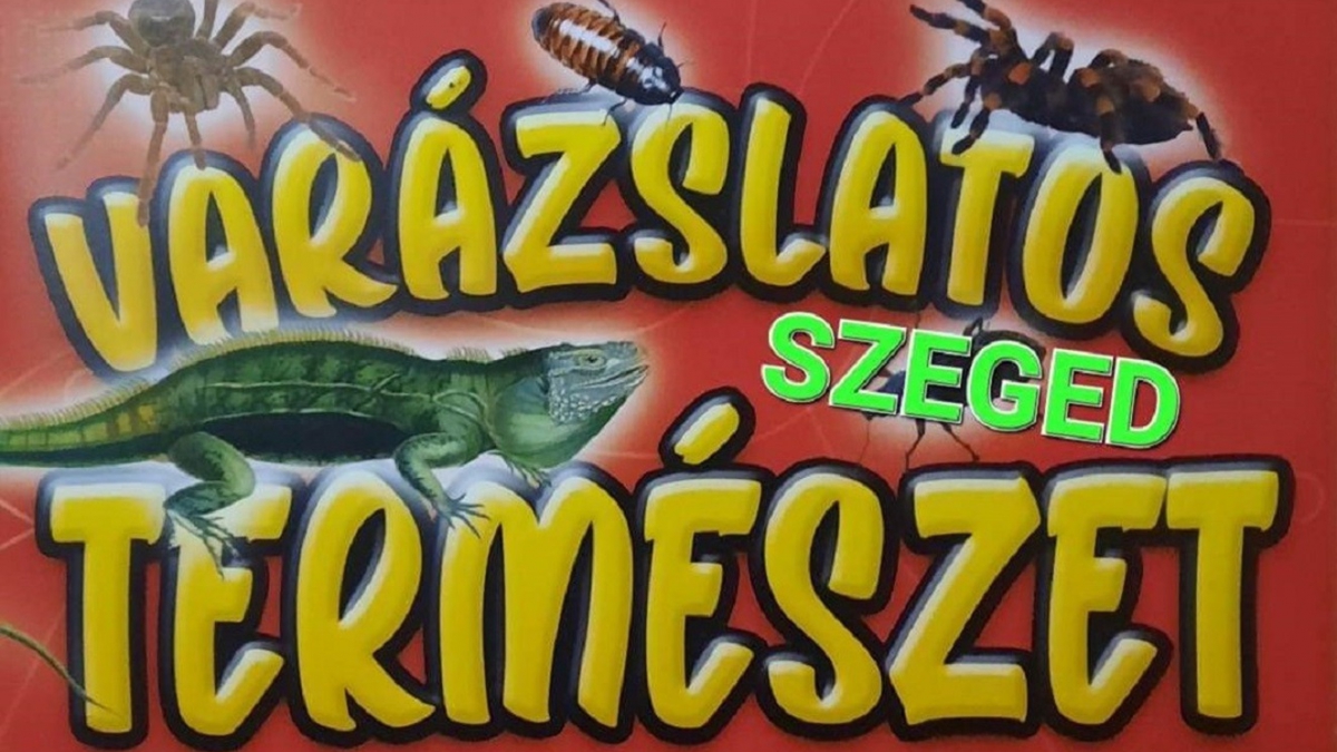 Varázslatos természet - kisállat kiállítás 2025.