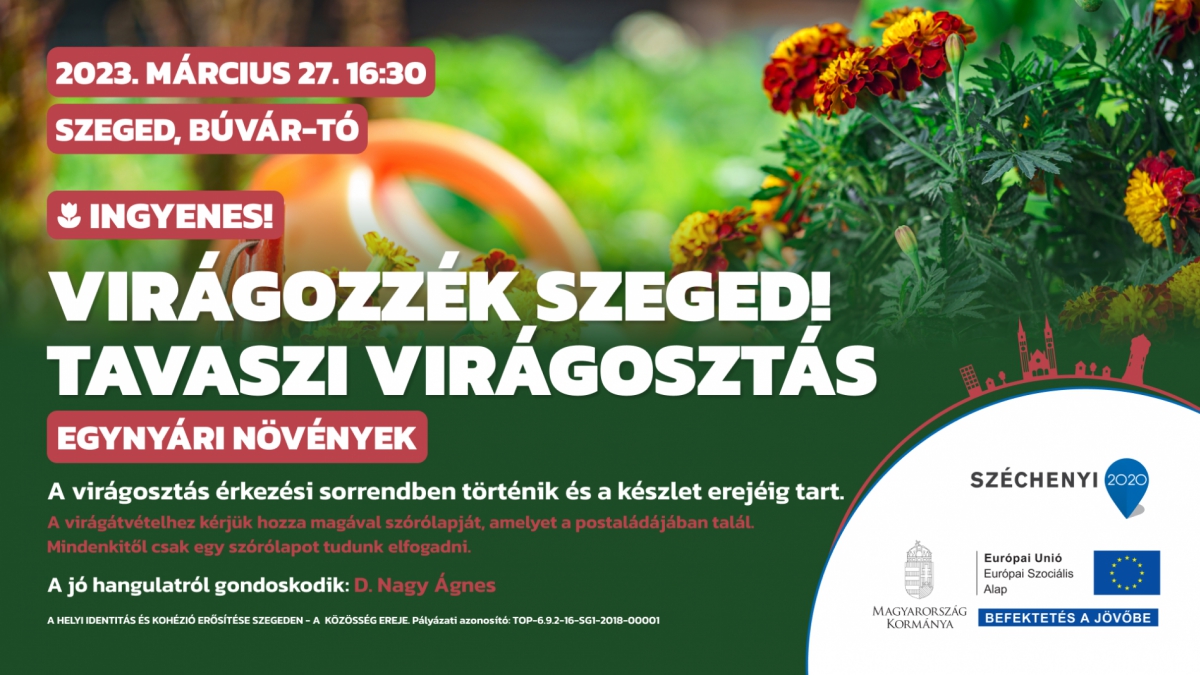 Virágozzék Szeged! Tavaszi virágosztás a Búvár-tónál