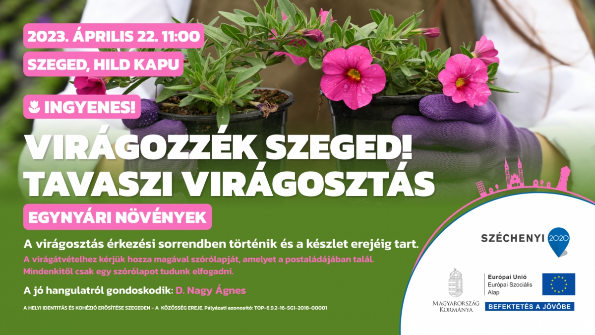 Virágozzék Szeged! Tavaszi virágosztás a Hild kapunál