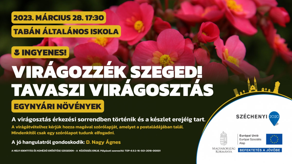Virágozzék Szeged! Tavaszi virágosztás a Tabán Általános Iskolában