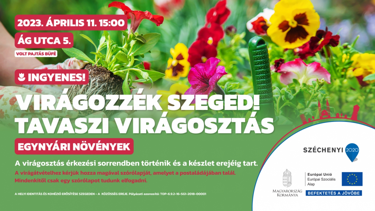 Virágozzék Szeged!Tavaszi virágosztás az Ág utcában