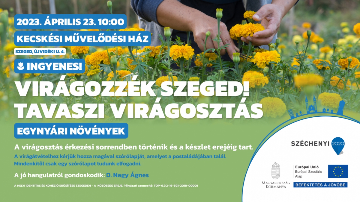 Virágozzék Szeged! Tavaszi virágosztás Kecskésen
