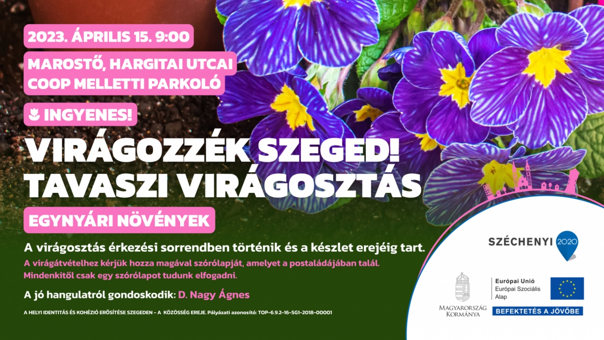 Virágozzék Szeged! Tavaszi Virágosztás Marostőn