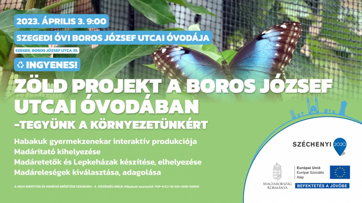 Zöld projekt a Boros József utcai óvodában - tegyünk a környezetünkért
