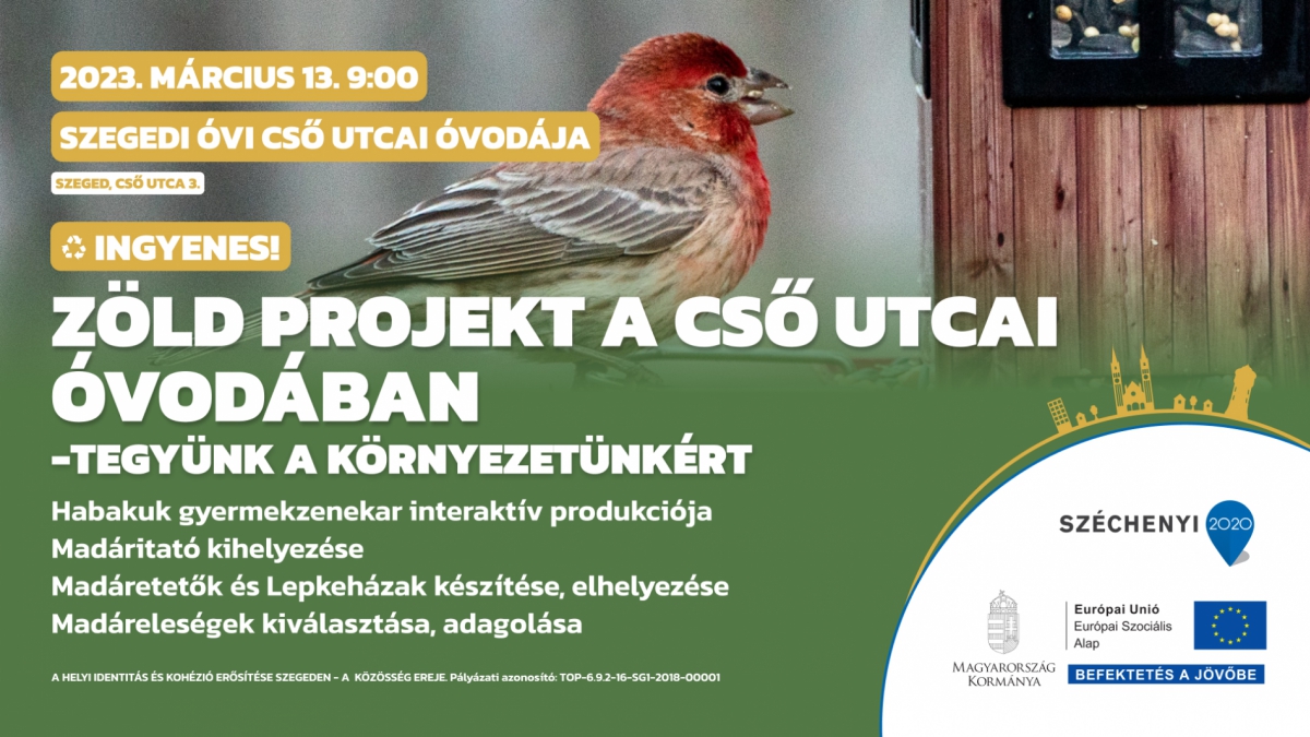Zöld projekt a Cső utcai óvodában - tegyünk a környezetünkért