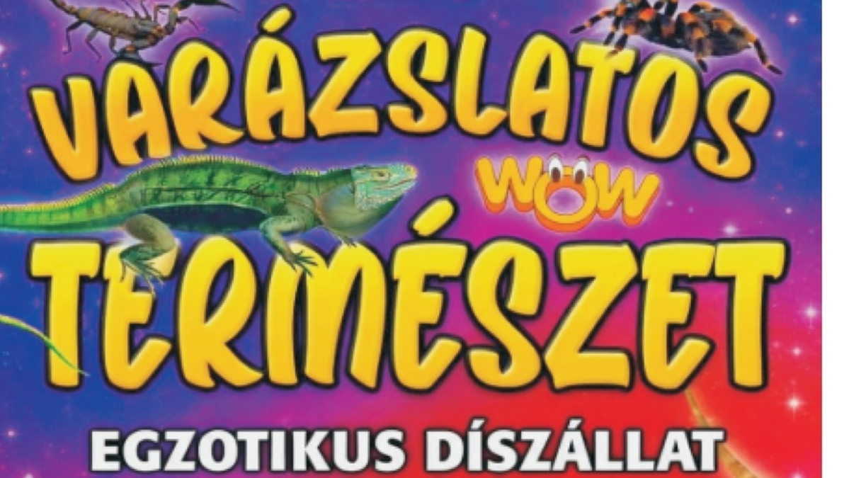 Varászlatos természet - Egzotikus díszállat kiállítás