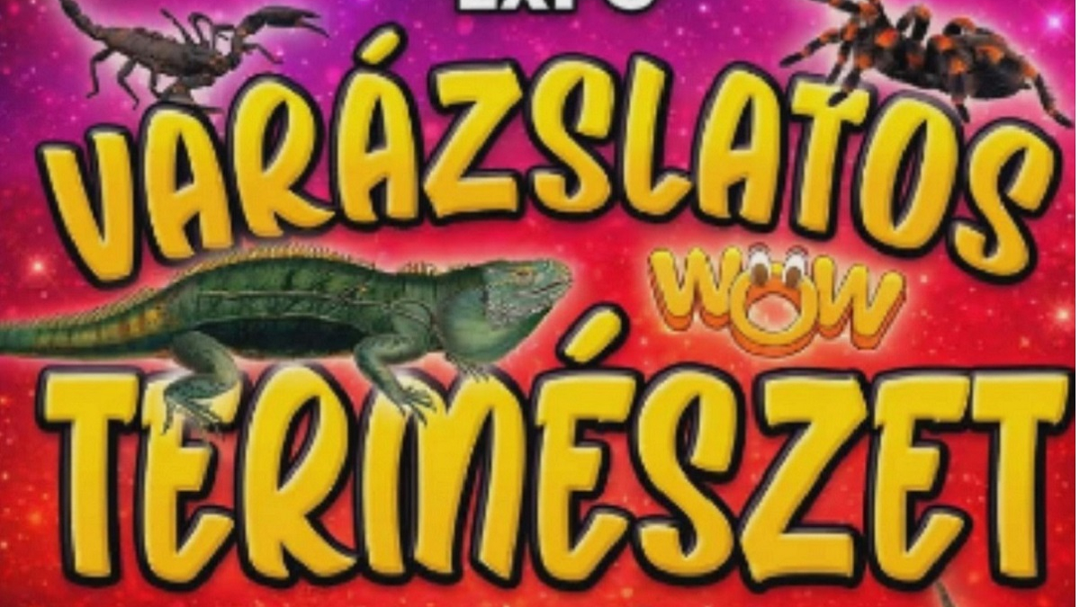 Varázslatos természet - Egzotikus díszállat kiállítás