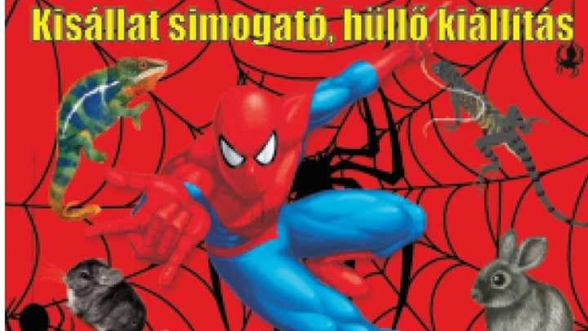 XXL Tarantula expo kisállat simogató, hüllő kiállítás IH